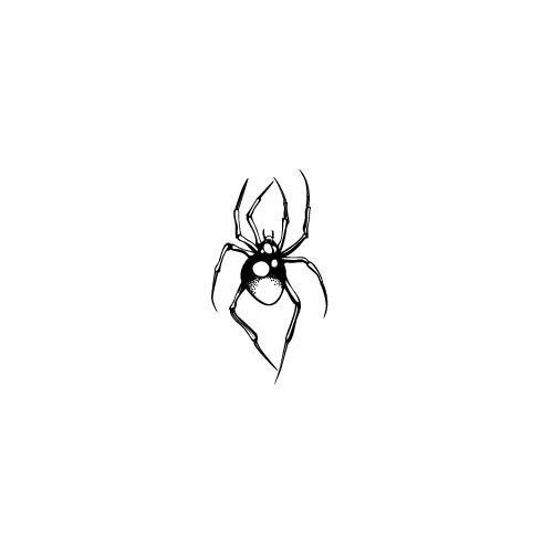 Araneae - Image 2