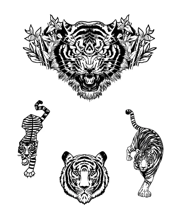 Triumph - Image 2