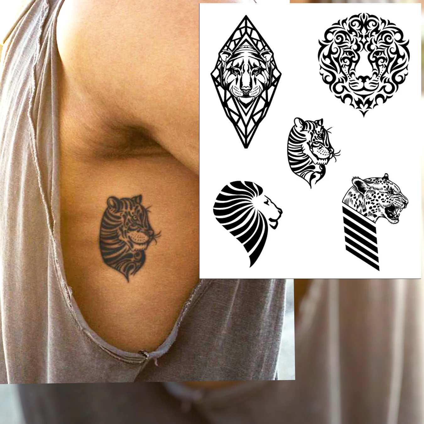 Majestic Cats Bundle