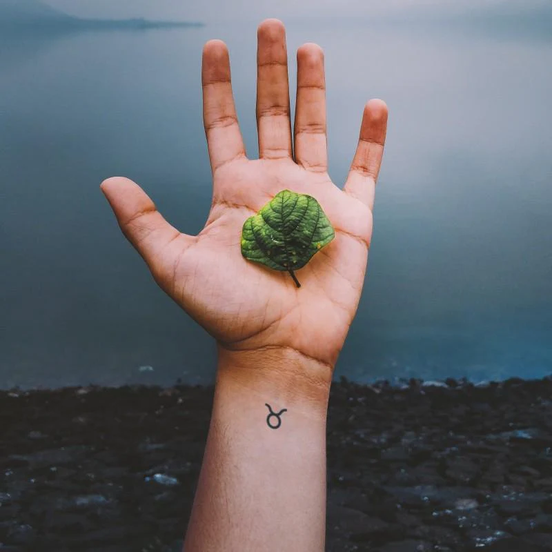 Taurus